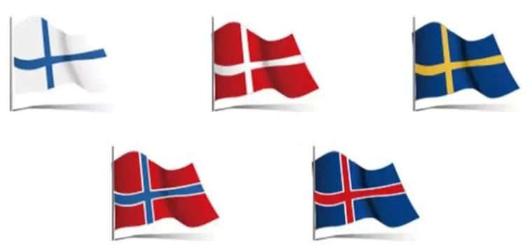 北欧联盟获得胜利，晋级亚南半球赛事决赛